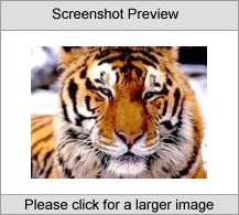Tigers Screenshot